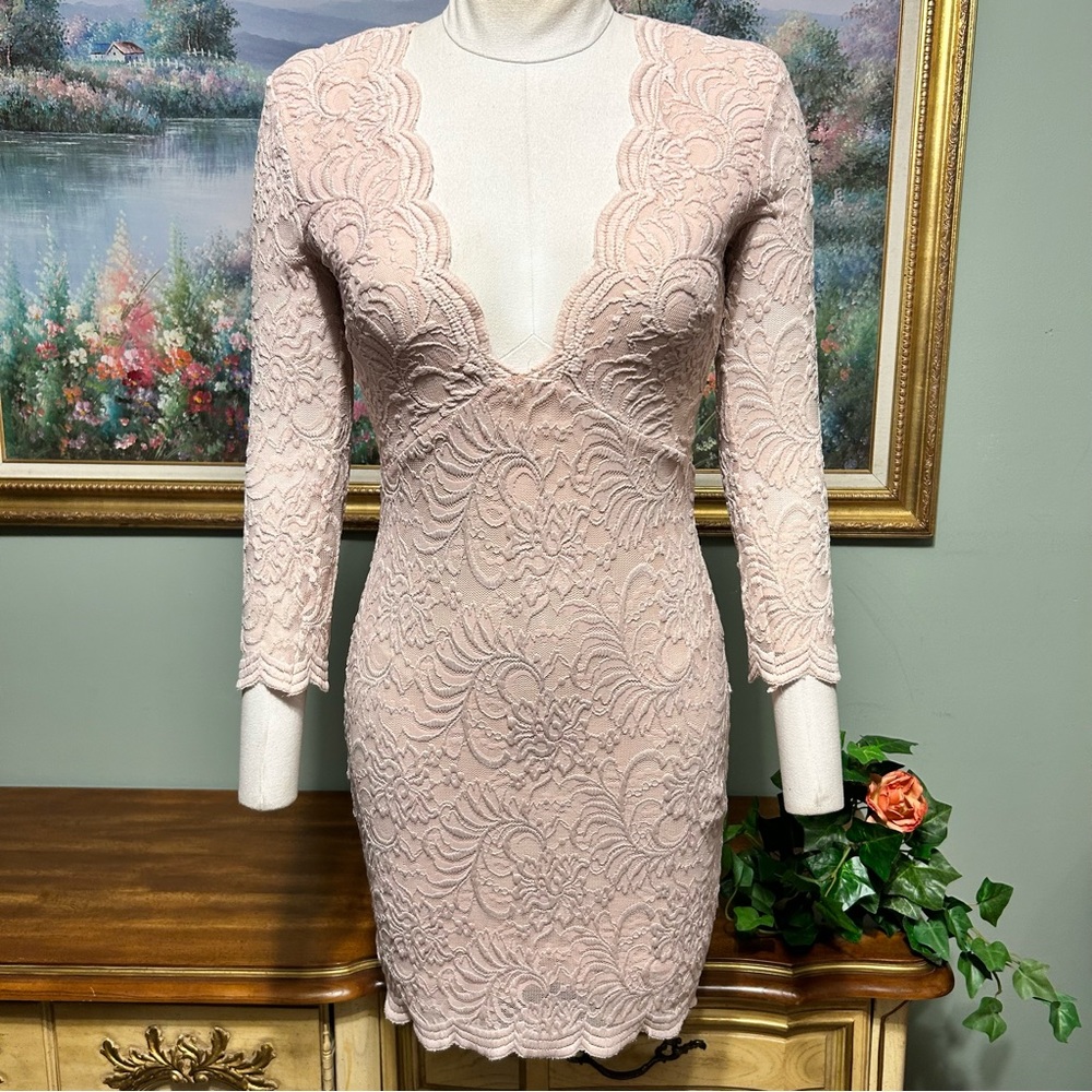 Bebe Sexy Blush Floral Lace Overlay Bodycon Sheer Back Sleeve Plunge Neck Dress